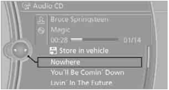 CD DVD Player and CDc Changer BMW 2010 5 Series5