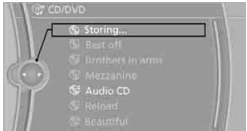 Music Collection BMW 2010 5 Series1
