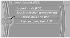 Music Collection BMW 2010 5 Series11