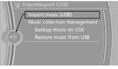 Music Collection BMW 2010 5 Series2