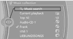 Music Collection BMW 2010 5 Series3