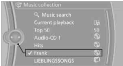 Music Collection BMW 2010 5 Series7