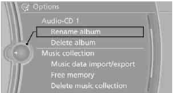Music Collection BMW 2010 5 Series9