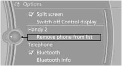 Telephone BMW 2010 5 Series1