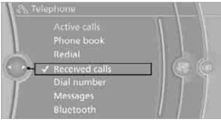 Telephone BMW 2010 5 Series11