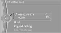 Telephone BMW 2010 5 Series5